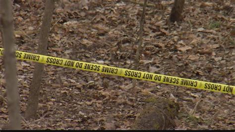 delphi murder scene leak|Delphi Murders 